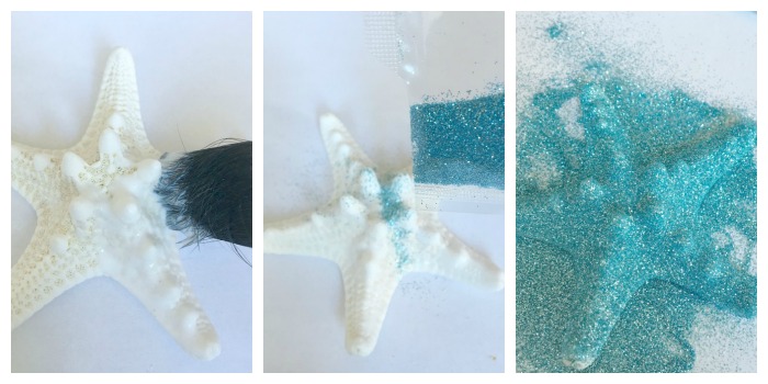 Apply Glitter to Starfish