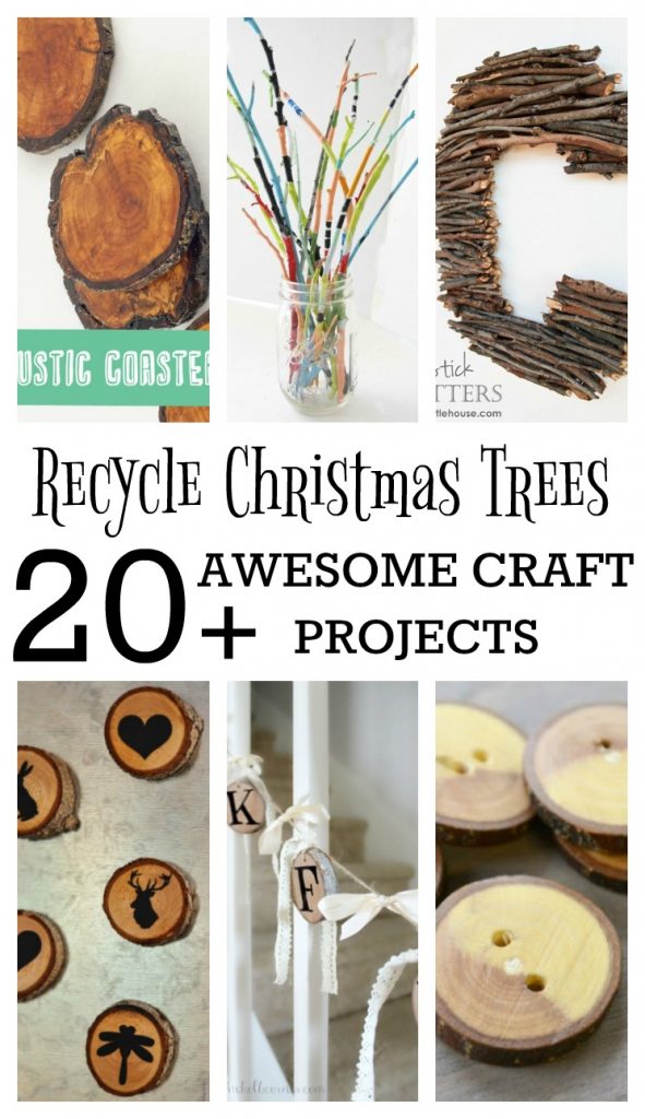 Recycle Christmas Trees