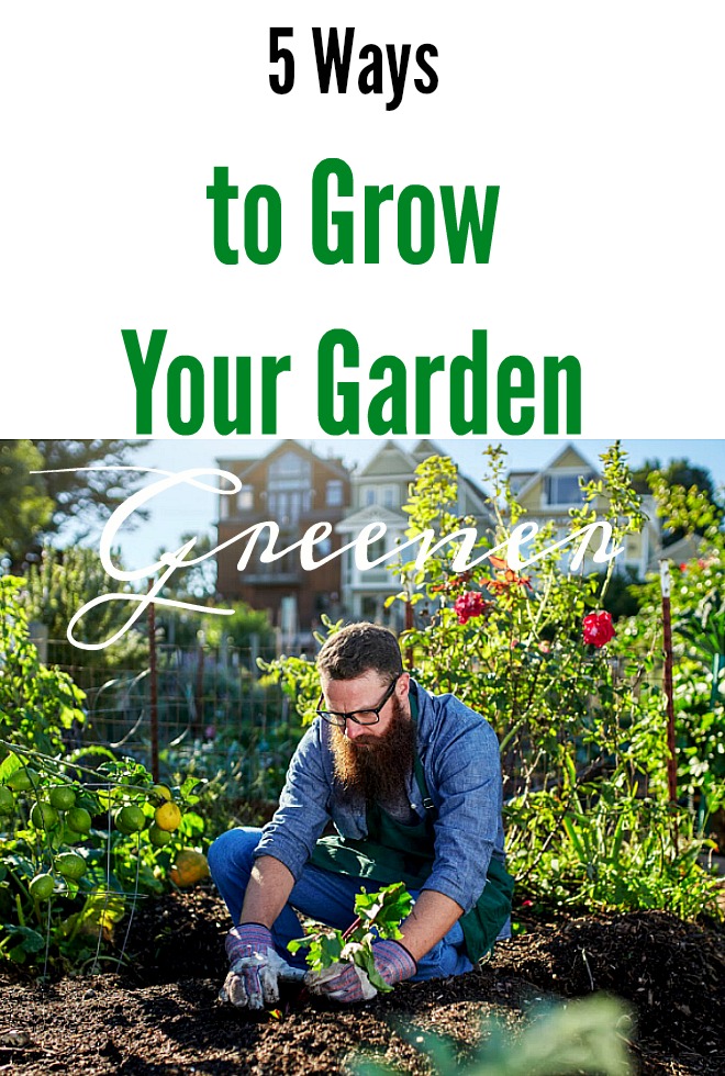 5 Ways to Grow a Greener Garden