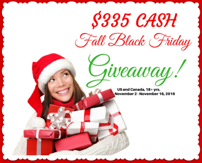 Money, Money, Money! Money! – $335 Fall Black Friday Giveaway!