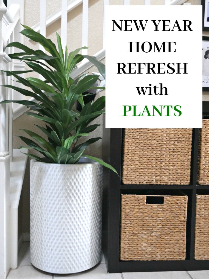 New Year Home Refresh with Plants
