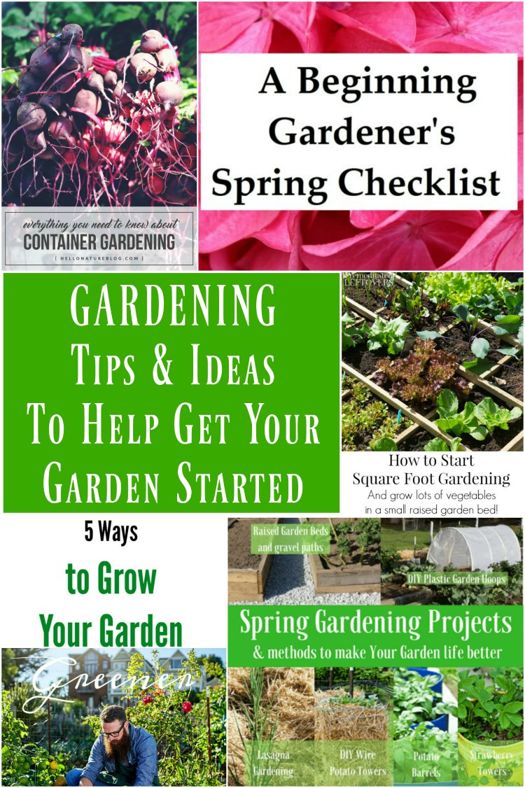 Gardening Tips and Ideas to Help Get Your Garden Started - My ...