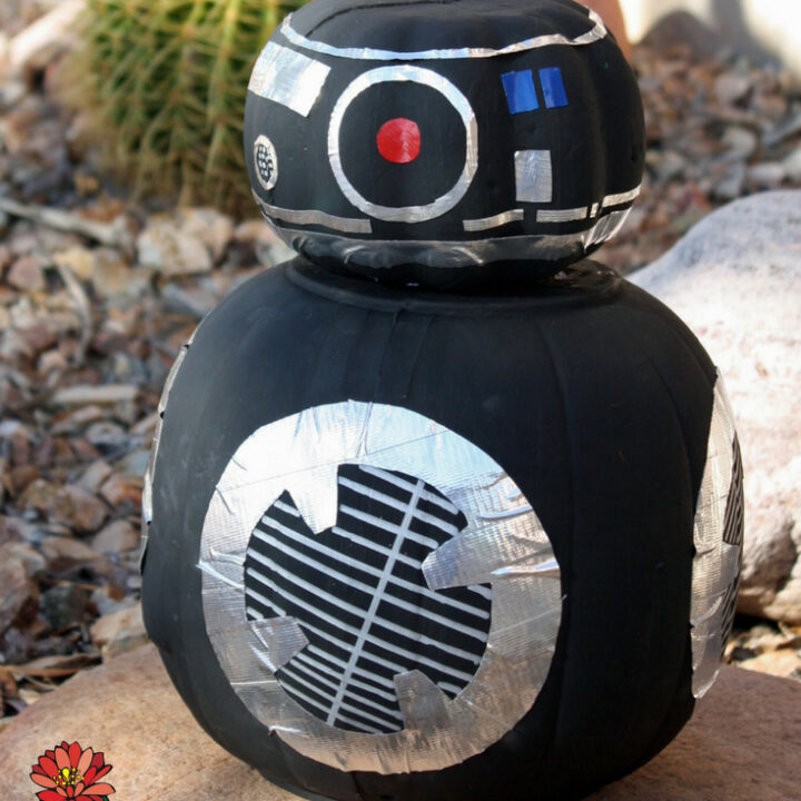 BB-9E Black Pumpkin