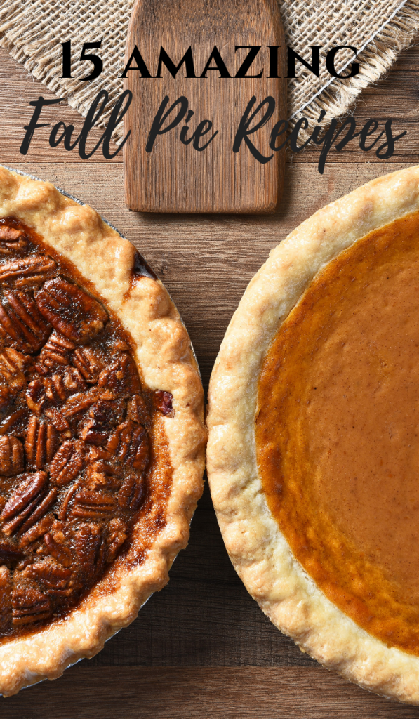 Fun Fall Pies 15 Amazing Fall Pie Recipes – MM #229 - My Pinterventures