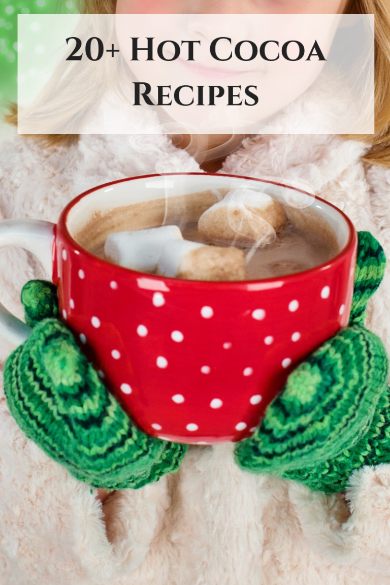 20+ Hot Cocoa Recipes