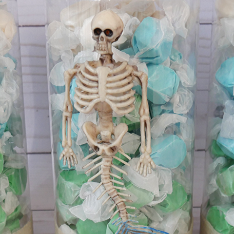 DIY Mermaid Skeleton Containers