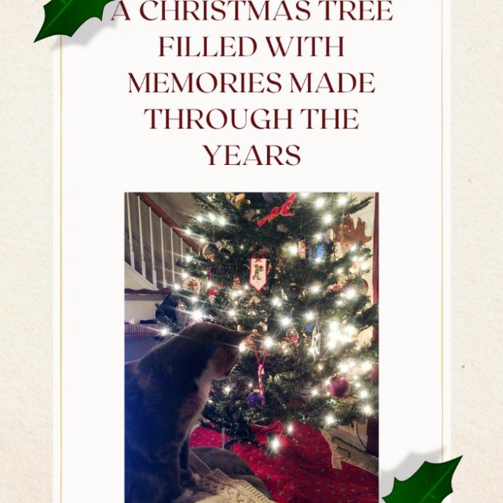 Image for A Christmas Tree Filled with Memories Made Through the Years