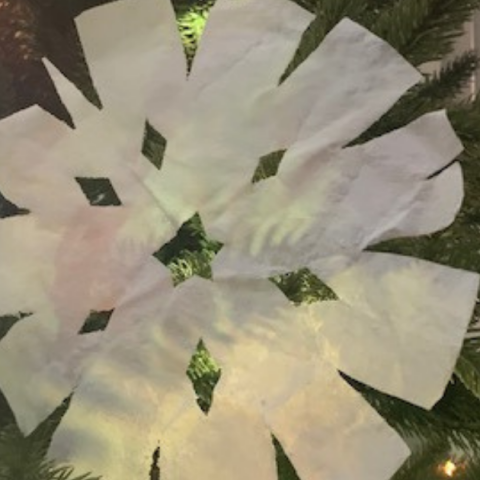 Image for Crystal Snowflakes