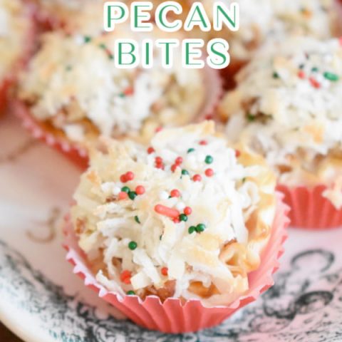 Image for Coconut Pecan Bites | Across the Blvd