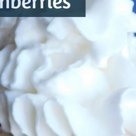 Image for Mini Holiday Eggnog Cheesecakes