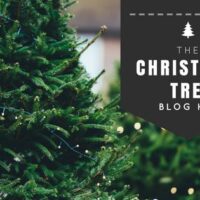 Image for Christmas Tree Decor Inspiration