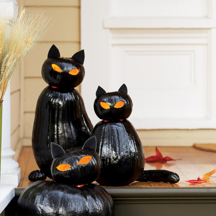 Image for Make Black Cat Pumpkins