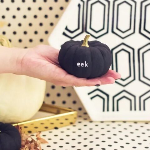 Image for DIY Funny Pumpkin Messages