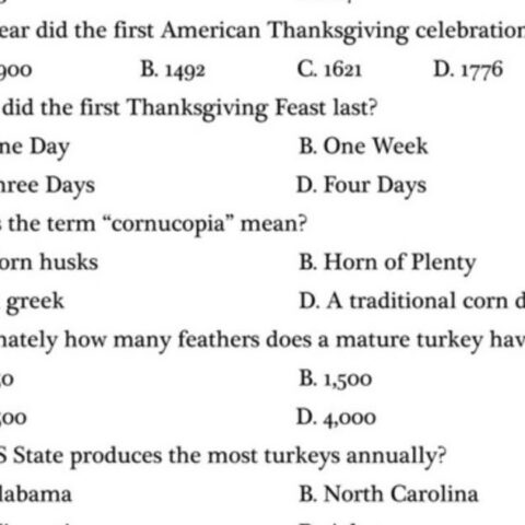 Image for THANKSGIVING.... TRIVIA