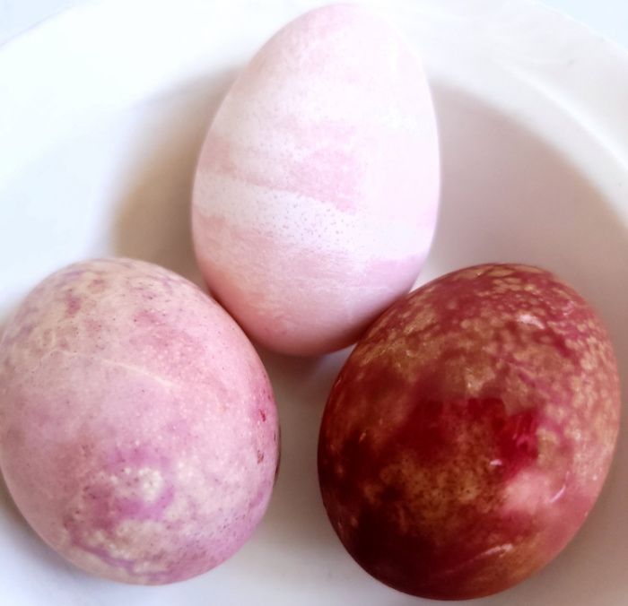 3 beet dyed eggs