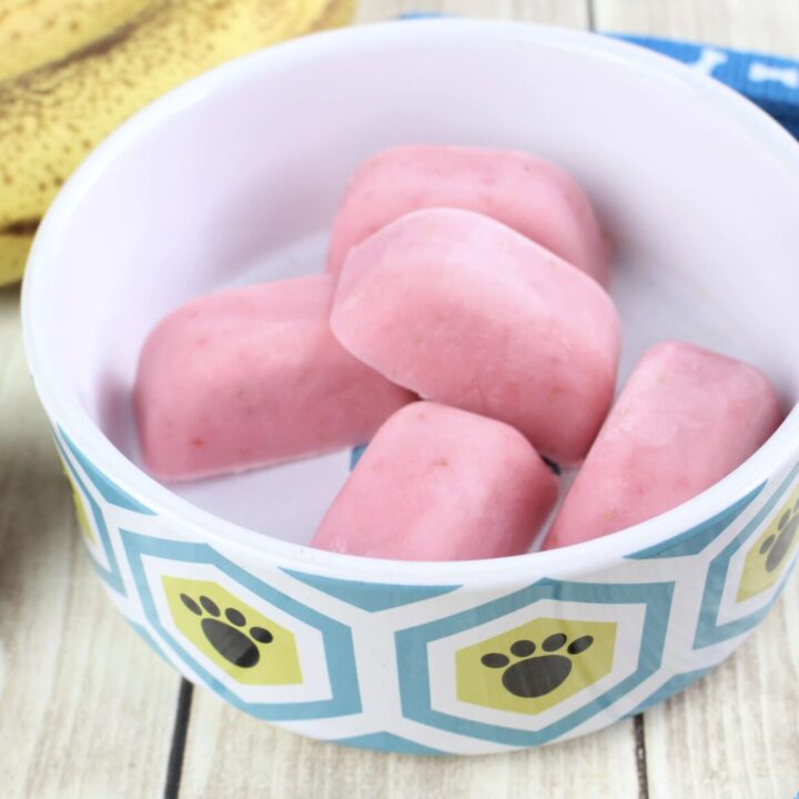 Image for Frozen Yogurt Dog Treats