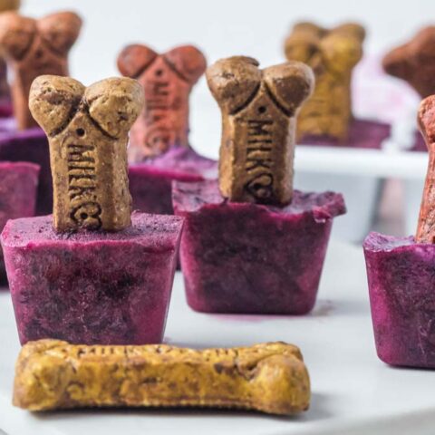 Image for Blueberry Popsicles For Dogs (Pupsicles)