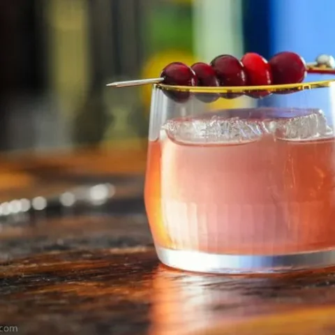 Image for Mezcal Cranberry Cocktail Recipe