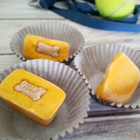 Image for Easy Frozen Homemade Pumpkin Dog Treats with only 3 Ingredients!