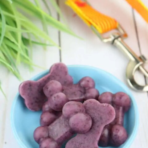 Image for Frozen Dog Treats - Blueberry Chicken Pup Pops