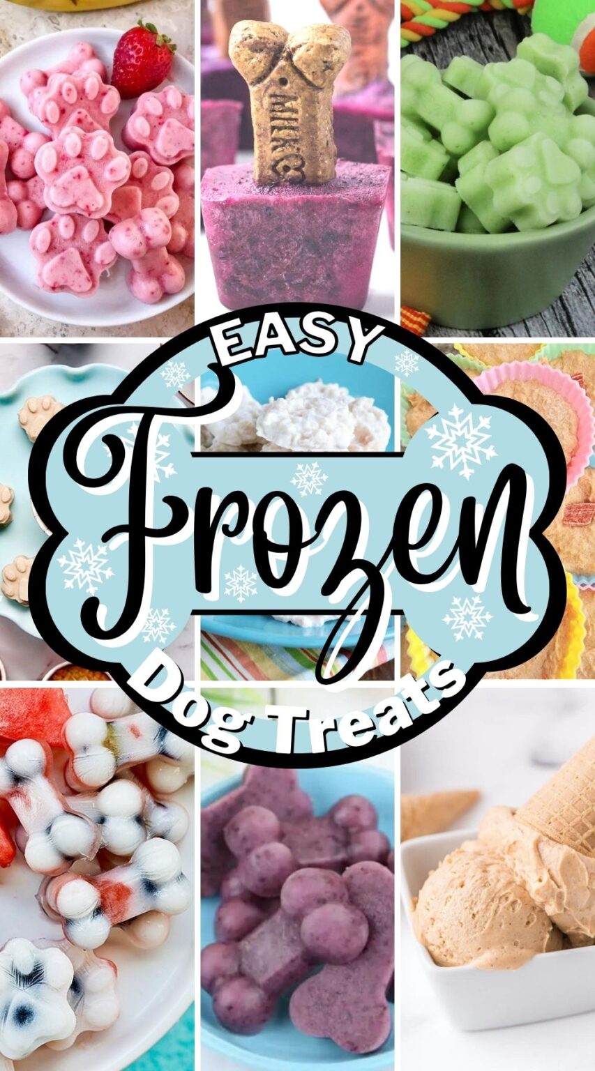 20 Easy Frozen Dog Treats to Beat the Summer Heat My Pinterventures