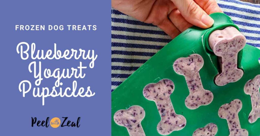 20 Easy Frozen Dog Treats to Beat the Summer Heat My Pinterventures