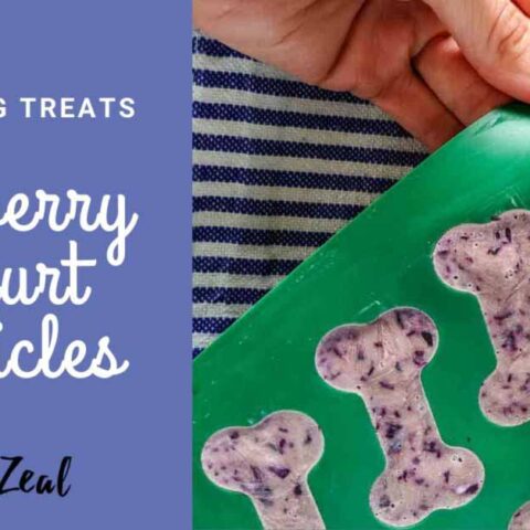 Image for Homemade Frozen Dog Treats- Blueberry Yogurt
