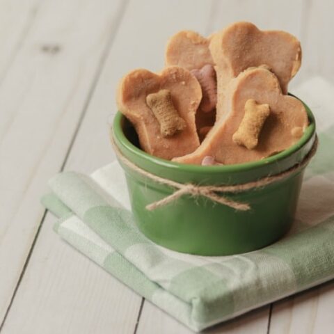 Image for Homemade Frozen Dog Treat Recipes With Banana
