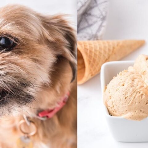 Image for Peanut Butter Dog Ice Cream