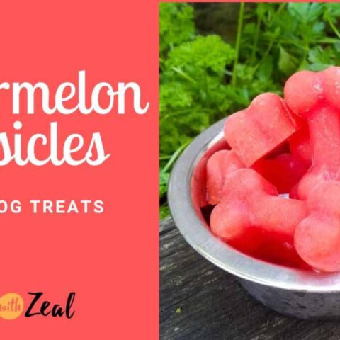 Image for DIY Watermelon Carrot Pupsicles