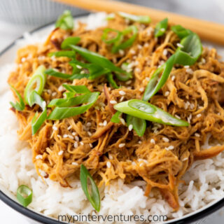 Close up of slow cooker soy honey garlic chicken in bowl.