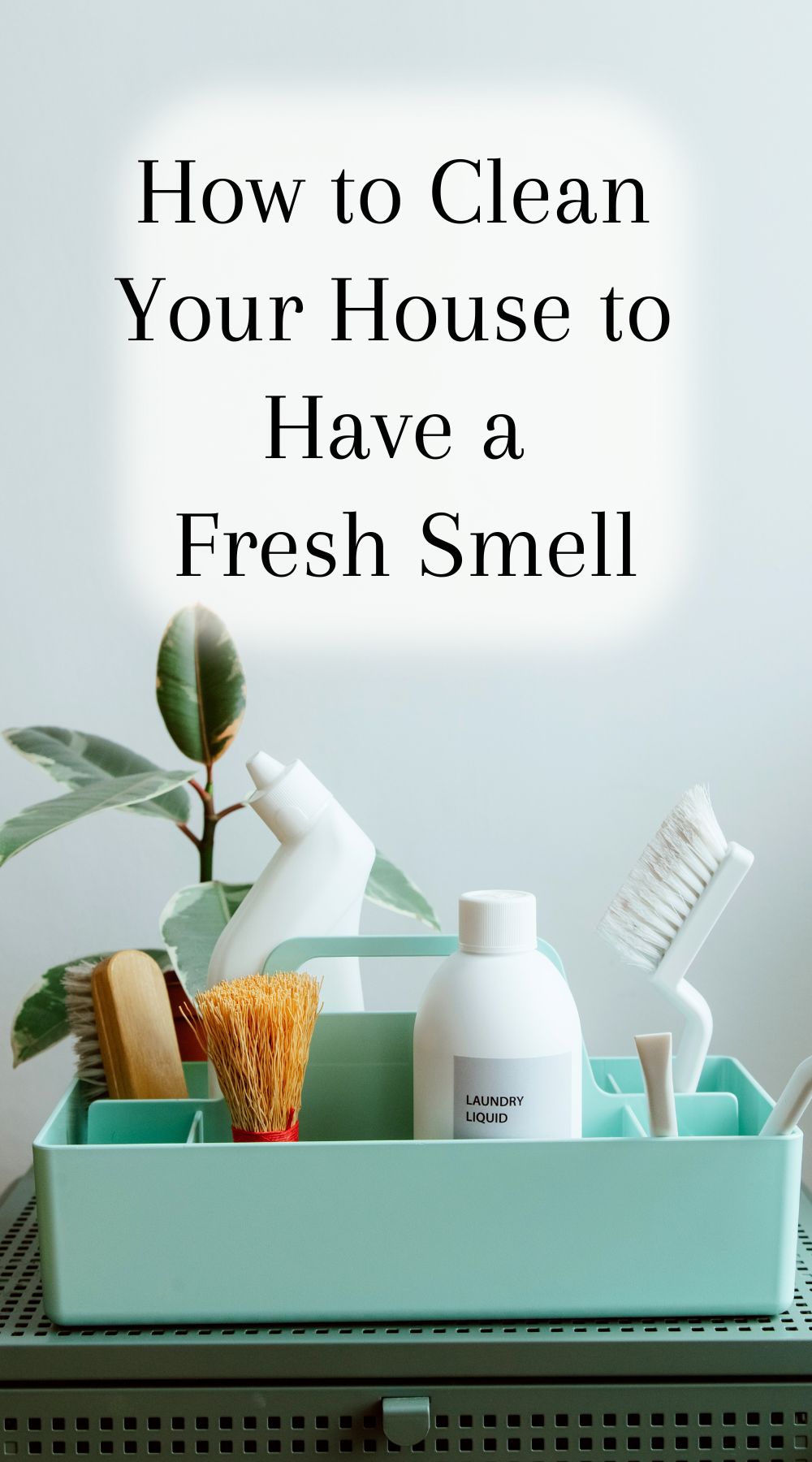 https://mypinterventures.com/wp-content/uploads/2023/07/How-to-Clean-Your-House-to-Have-a-Fresh-Smell-lp.jpg