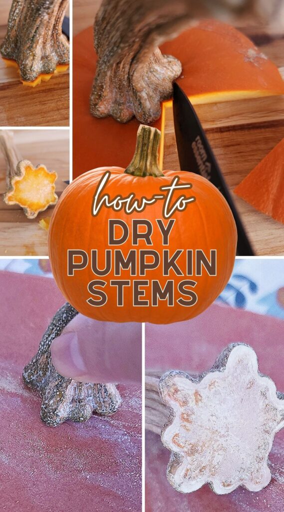 How to dry pumpkin stems.