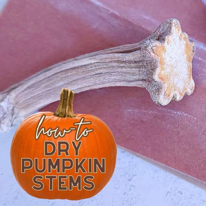 How to Dry Pumpkin Stems for Crafting