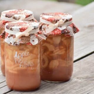 Image for Homemade Apple Pie Filling to Can!