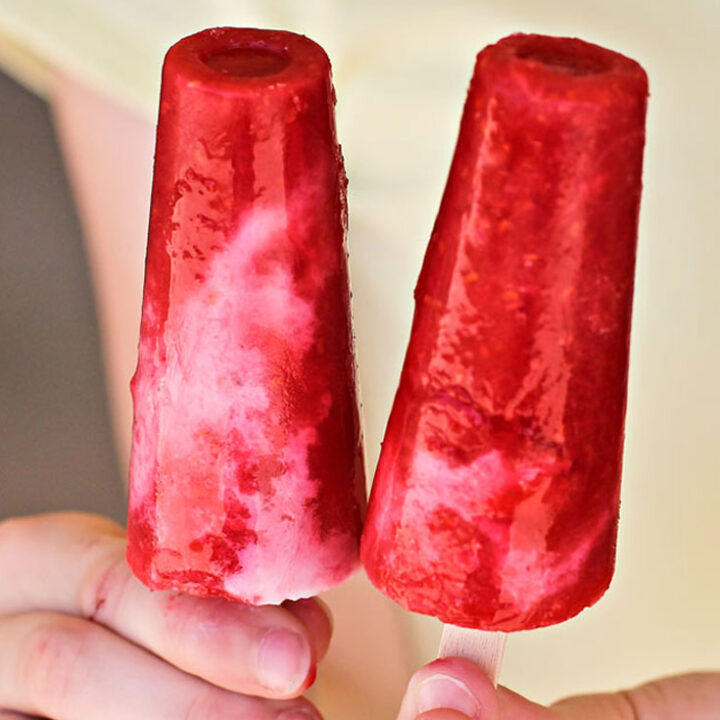 Image for Dairy-Free Raspberry Coconut Pops