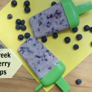 Image for Frozen Greek Yogurt Berry Fruit Pops