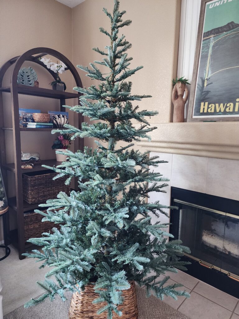 Bare King Noble Fir Christmas Tree